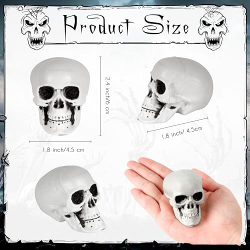 Halloween Skeleton Heads Set - Mini Plastic Skull Props for Haunted House & Party Decorations