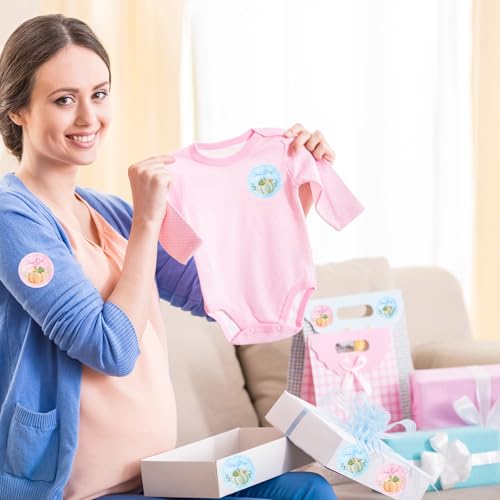 72pcs Pumpkin Gender Reveal Stickers - Team Boy & Team Girl Fall Party Decorations - Style 1