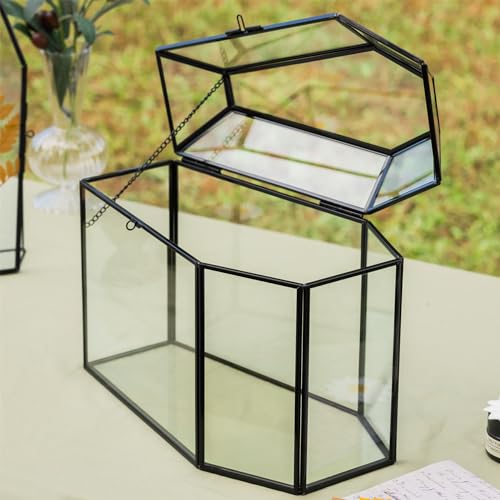 Gothic Glass Box with Lock & Swing Lid for Keepsakes and Cards - Coffin-Shaped, 10.4 Inch
