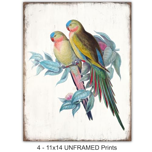 11x14 Tropical Bird Wall Art Set - Exotic Parrot, Lovebird, Toucan & Cockatoo Prints - Unframed Bird Decor - Variation 1