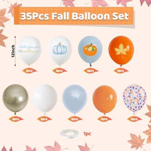 Fall Blue Pastel Orange Dusty Blue White Balloons Set - 12 Inch Party Decor