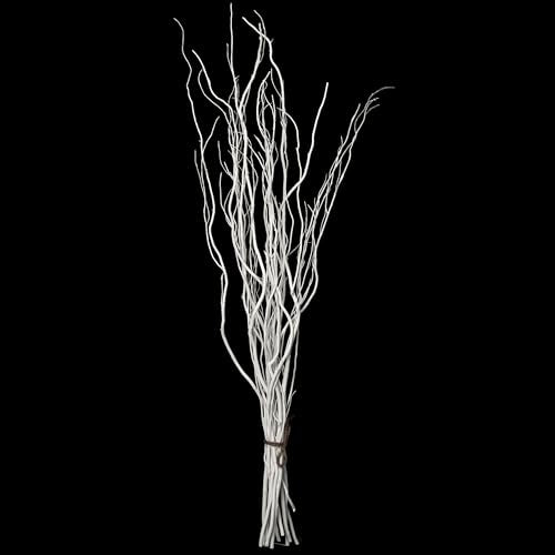 White Painted Willow Twigs - 37 Inch Dried Natural Decorative Stems for DIY Crafts & Floral Arrangements - Set of 12