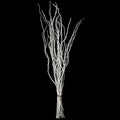 White Painted Willow Twigs - 37 Inch Dried Natural Decorative Stems for DIY Crafts & Floral Arrangements - Set of 12