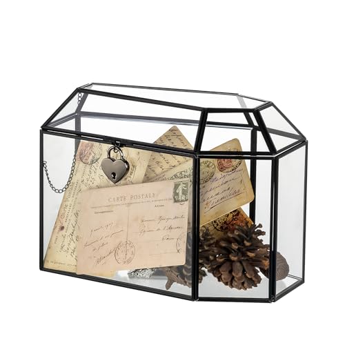 Gothic Glass Box with Lock & Swing Lid for Keepsakes and Cards - Coffin-Shaped, 10.4 Inch
