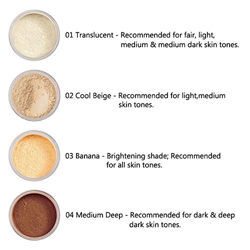 Translucent Matte Face Powder with Puff - Long Lasting, Photo & Flash Tested - 02 Cool Beige