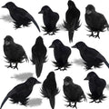 Halloween Black Feathered Crow Decorations Set of 12 - 6.1 Inch Realistic Birds with Bendable Wires
