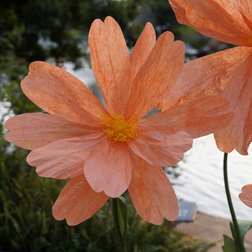 Orange Giant Paper Daisy Flowers for Decoration, Large Artificial Floral Props