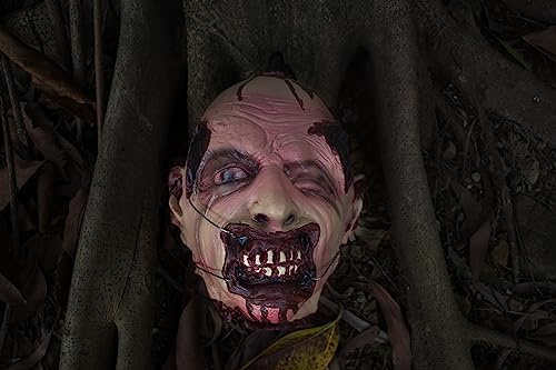Halloween Zombie Head Prop - Life-Size Severed Latex Head for Haunted House Decor - Variation C