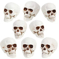 Halloween Skull Decorations 8pcs Mini Realistic Human Skulls for Haunted House & Party - Variation of 2.75 Inch