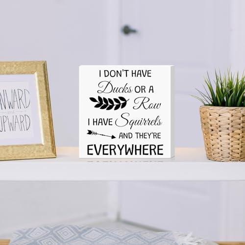 Funny Wooden Desk Sign - Squirrel Lover Office Decor Gift