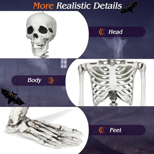White 5.4 FT Life-Size Posable Skeleton Halloween Decoration