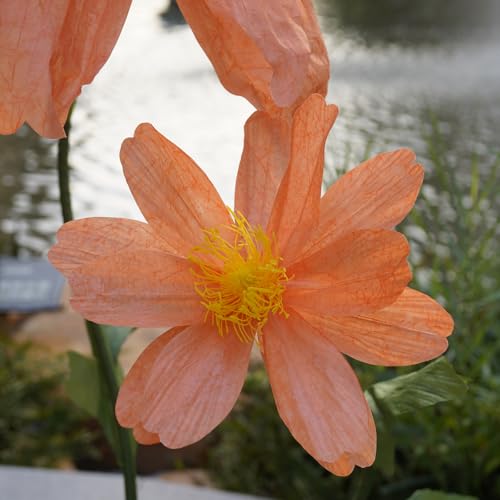 Orange Giant Paper Daisy Flowers for Decoration, Large Artificial Floral Props