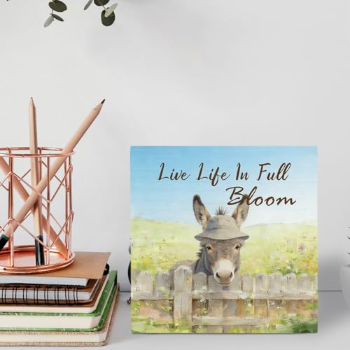 Rustic Wooden Donkey Sign - Farmhouse Desk Decor, 5x5 Inch