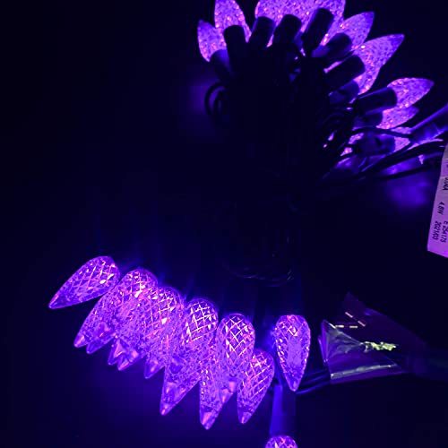 Purple C6 LED Christmas Lights String 50 Count Outdoor Garden Patio Decoration