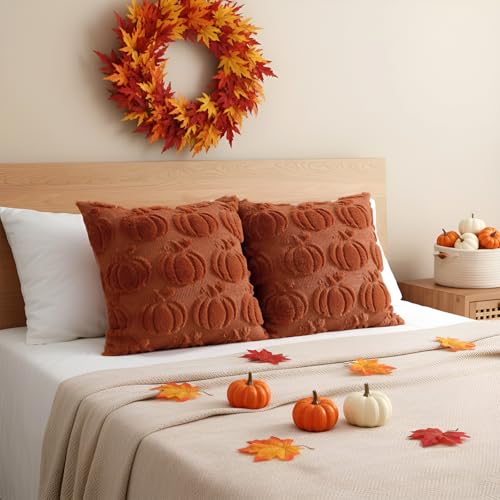 Rust Fall Pumpkin Throw Pillow Covers 18x18 Inch Set of 2 - Autumn Home Decor