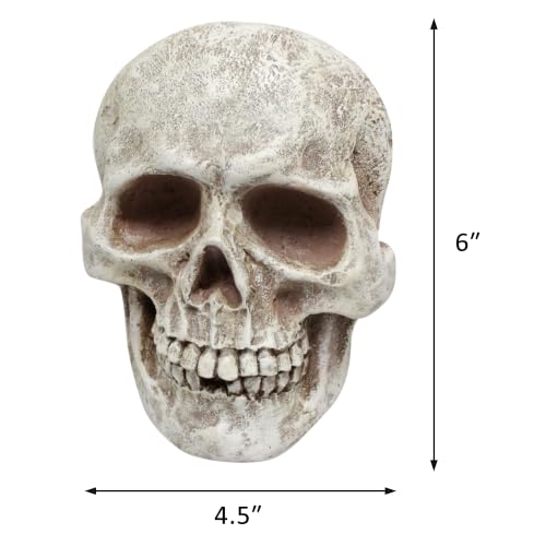 Halloween Skeleton Wall Decor - Realistic Skull Prop for Haunted House & Spooky Displays