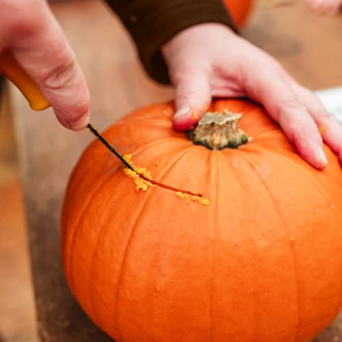 Halloween Pumpkin Carving Kit with 4 Stainless Steel Tools & 6 Stencils - 10 Pieces