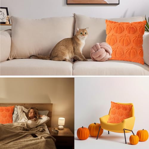 Autumn Pumpkin Cushions Set - Halloween & Thanksgiving Decor 45x45 cm
