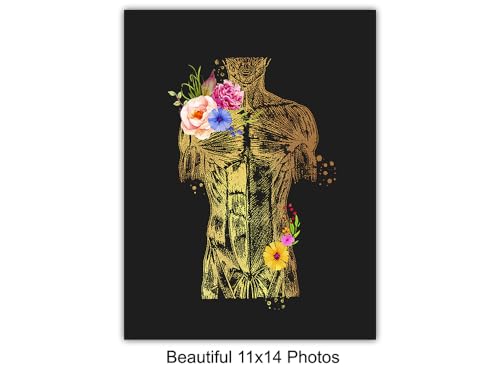 Human Anatomy Poster 11x14 Inches - Nurse & Medical Wall Art - Unframed Decor for Hospital & Office - Variation of THIS listing