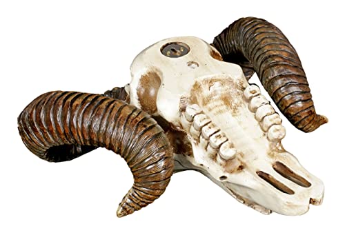 Ram Skull Wall Trophy Decor - Baphomet Horns 11 Inch Halloween & Day of the Dead