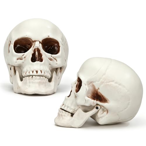 Halloween Human Skull Model - 8.7 Inch Fake Skull Decor Set of 4 - Realistic Plastic Skeletons for Spooky Parties