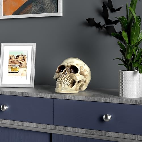Large Life-Size Resin Skull for Halloween & Home Decor - White