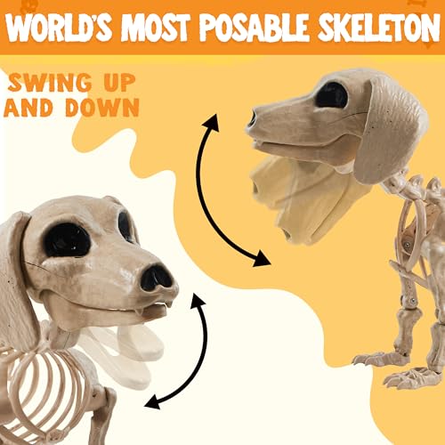 24-Inch Posable Dog Skeleton Halloween Decoration - Indoor Outdoor Spooky Prop