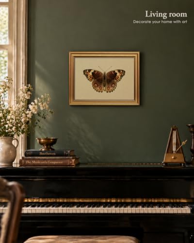 Vintage Butterfly Wall Art - Gold Frame 12x16 Inch, Peacock Pansy Variation