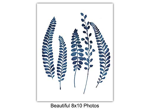 Mid Century Modern Wall Art Prints - Abstract Botanical Decor - 6 Pack