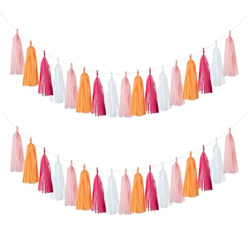 20PCS Tissue Garland and Tassel Decorations for Parties and Events