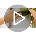 Artificial Mossy Tree Branches - Bendable Reptile Jungle Vines, 70.9 Inches