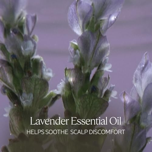 L'Occitane Aromachologie Conditioner - Gentle & Balancing Formula | 8.40 Fl. Oz.