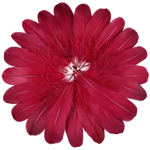 FeelfunFeather 120pcs Wine Red Goose Feathers 6-8 Inch for DIY Crafts & Decorations