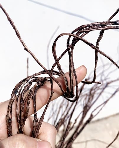 Artificial Curly Willow Branches with Dried Twigs - Pattern B - 4 Pack, 63 Inches