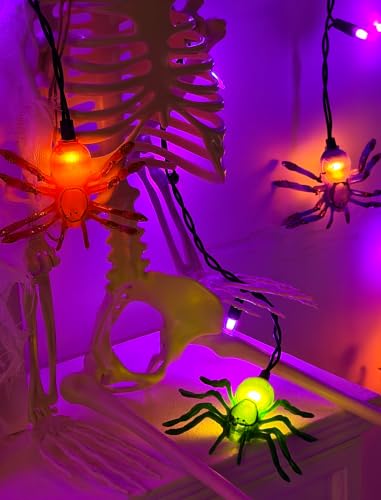 Outdoor Halloween Spider String Lights - 50 LED 7FT Waterproof Decorative Lights