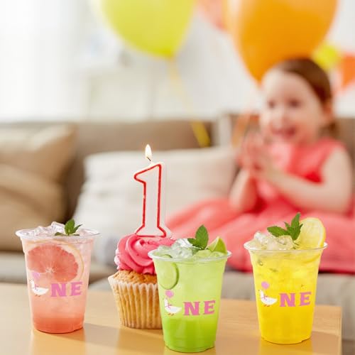 Goose Themed 12oz Plastic Cups - 100 Pack for 1st Birthday Party - Clear Disposable Drink Cups - Goose Variation