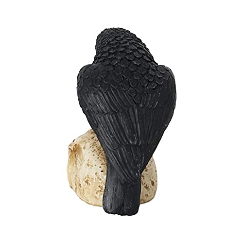 Halloween Gothic Crow on Skull Figurine - 5x 2.7x4 Inch Spooky Decor
