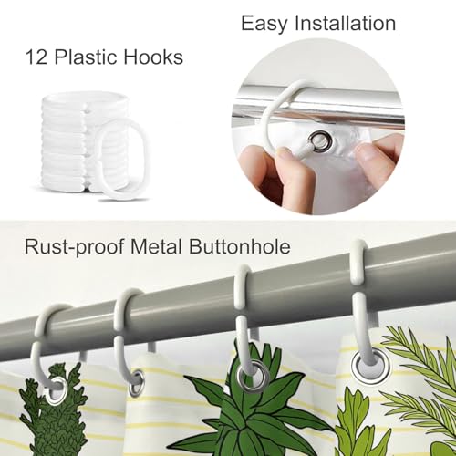 Green Cactus Pot Shelf Bathroom Shower Curtain 72x72 Inch with Hooks - Waterproof Fabric