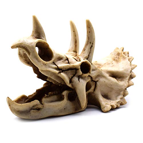 Resin Dinosaur Skeleton Triceratops Model - Decorative Home & Office Display