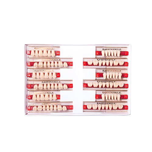 Dental Synthetic Resin Teeth Replacement Full Set A3 - Halloween Props, Dentures 438+U38+32