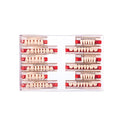 Dental Synthetic Resin Teeth Replacement Full Set A3 - Halloween Props, Dentures 438+U38+32