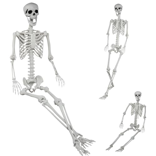 Life Size Halloween Skeleton 5.9Ft with Posable Joints Indoor Outdoor Decoration - 180cm