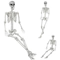 Life Size Halloween Skeleton 5.9Ft with Posable Joints Indoor Outdoor Decoration - 180cm