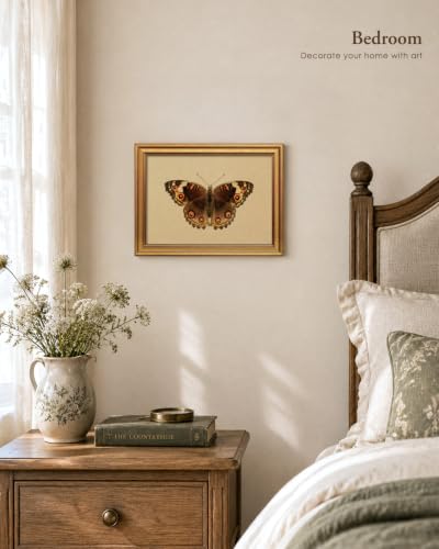 Vintage Butterfly Wall Art - Gold Frame 12x16 Inch, Peacock Pansy Variation