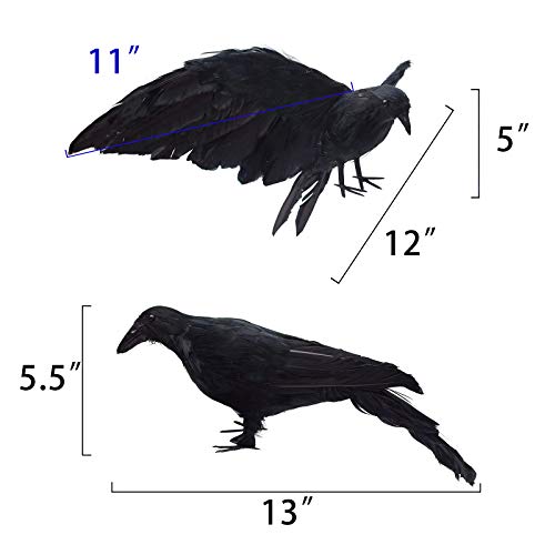 Realistic Black Feathered Crow Decor - Lifesize Halloween Props - 13in & 12in - L Variation