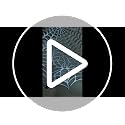 4-Pack Halloween Silver Spider Web Placemats Round Table Decor