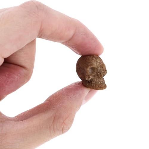 Halloween Mini Skull Figurines Set - 20 Realistic Resin Skeleton Heads for Decorations