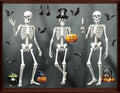 Halloween Window Clings - Large Retro Skull Pumpkin Bat Stickers - Split Skull Variation, Reusable Decals for Home & Party Decor