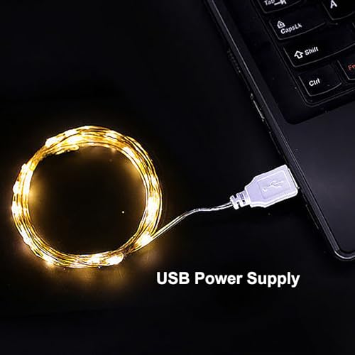 USB Powered Fairy String Lights 2m 20 LEDs Warm Light for Desk Office Christmas Party Decoration - Variation of THIS listing 12