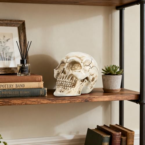 White Resin Skull Statue for Home Decor Gothic Halloween Ornament